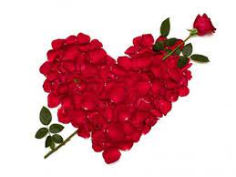 Freepik Graphic Resources For Everyone Rose Flower Wallpaper Red Rose Petals Rose Day Wallpaper