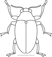 Bug Coloring Page Bug Coloring Pages Beetle Art Insect Art