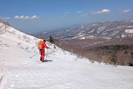 Image result for Hakkoda Walk