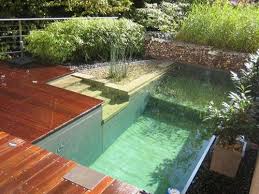 Natural swimming pool design utilizing shotcrete inground pool shell with natural sandstone retaining walls, seamless slate stamped concrete decking, 30 dia. Natural Pools Natural Swimming Pools And Ponds