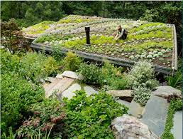 Maybe you would like to learn more about one of these? Hardscaping 101 Green Roofs Gardenista