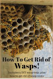 Maybe you would like to learn more about one of these? How To Repel Bees And Wasps Arxiusarquitectura