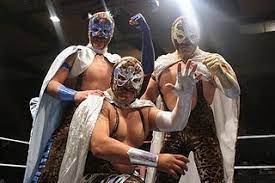 How tall is brazo de plata height and weight? Maximo Lucha Libre Mexicana La Mejor Del Mundo