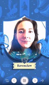 Harry Potter Fans Can Now Summon a Wizarding World Sorting Hat in Augmented  Reality