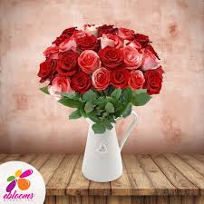 Check spelling or type a new query. Red Bi Color Red White Tinted Roses Bulk Flowers Online Red And White Roses Ordering Wedding Flowers Online