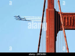 Image result for Blu By You 2018 Fleet