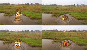 applejack near death, irl, mud