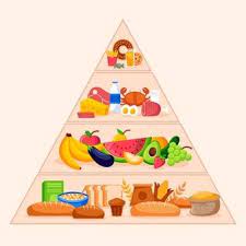 Download Food Pyramid Concept For Free Ahli Gizi Kartun