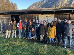 team lussi tavola ag