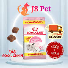 Kitchen flavor makanan kucing parsi johor career. Jsi Hx Hq7lmcm