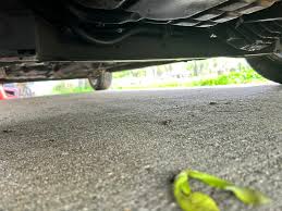 Image result for Medium Driftwood 1993 Chrysler