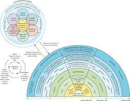 Defining and conceptualising the commercial determinants of health - The  Lancet