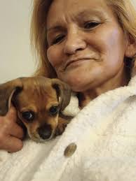 Pup's nose turned pink overnight, with indentation