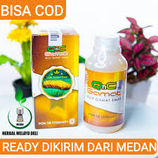 Pabrik bahan dan resep to. Qnc Jelly Gamat Agen Medan Bisa Gosend Gojek Dan Bisa Bayar Ditempat Shopee Indonesia