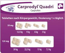 Carprodyl Quadri Produkte Fur Heimtiere Produkte Ceva Germany