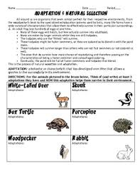 The darwin's theory of natural selection emphasizes that the organisms of the same species with more beneficial traits survive while the others die off. Natural Selection Worksheet Teachers Pay Teachers