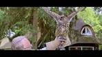 Outdoor - Explore the Veluwe - Van der Valk Hotel Apeldoorn ... - YouTube
