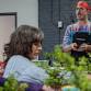Bonsai Workshop at Dry Dock Brewing event image