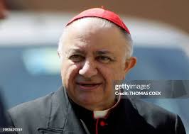 834 Cardinals Leave Rome For The Vatican Stock Photos, High-Res Pictures,  and Images