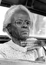 31 The Autobiography Of Miss Jane Pittman Stock Photos, High-Res Pictures,  and Images