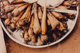 Image result for Borassus aethiopum