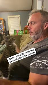Newest foster kitty has lots of opinions. #fyp #kittensoftiktok #kittycat  #fosterkittens #catsoftiktok #AmazonVirtualTryOn #catdad #craddock
