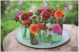 Check out our green mums flowers selection for the very best in unique or custom, handmade pieces from our shops. How To Plant And Grow Chrysanthemums Sarah Raven