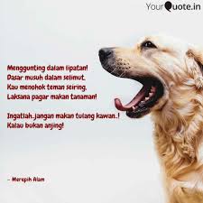Gunting dalam lipatanartis.dedy gunawancip.elvick simanjuttakmusik.deky rianmixsing.deky rianvideo.erwin dutaprod.nasty productionini adalah channel resmi. Menggunting Dalam Lipatan Quotes Writings By Fitri Kurniawati Yourquote