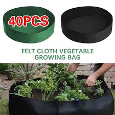 Intensive care is necessary to ensure that things that are usually available naturally in the garden (light, water, nutrients). Buy Cloth Bag Planting Pot Fabric Raised Garden Bed Breathable Soft Sided Felt Fabric Pots Plant Grow At Affordable Prices Price 2 Usd Free Shipping Real Reviews With Photos Joom