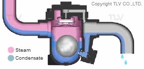 Wolf trap foundation, a nonprofit organization, is dedicated to bringing exciting performance experiences to our stages for the enrichment, education, and enjoyment of diverse audiences. What Is A Steam Trap Tlv A Steam Specialist Company Middle East