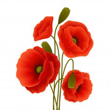 Free Free 159 Poppy Flower Svg Free SVG PNG EPS DXF File