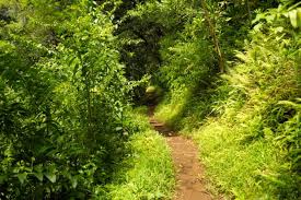 Ualakaa trailhead honolulu • ualakaa trailhead honolulu photos • ualakaa trailhead honolulu location •. Oahu Hikes Best Trails