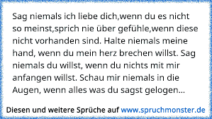 Sag Niemals Ich Liebe Dichwenn Du Es Nicht So Meinstsprich Nie