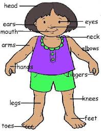 We did not find results for: Apakah Bahagian Badan Namakan Bahagian Badan Bahagian Bahagian Badan Dalam Bahasa Inggeris Untuk Kanak Kanak