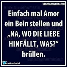 Wo Die Liebe Hinfallt Lustige Spruche Witzige Spruche Weisheiten Spruche