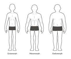 A test will give you one of three genotypes for this measure: Good Vs Bad Genetics In Bodybuilding Which Do You Have Spotmebro Com