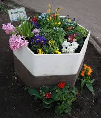 Ihr fester platz im garten sollte gut durchlässig sein. Fruhlingspflanzen Grundschule Bo4s Webseite