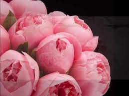 Są one symbolem miłości, wdzięczności. Zyczenia Urodzinowe Dla Mamy Youtube