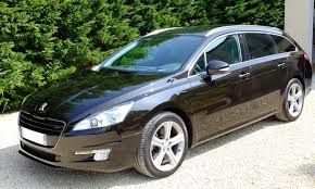 Image result for Brun Guaranja 2014 Peugeot