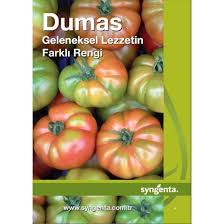 Dumas F1 Koy Domates Fidesi Fiyati Domatesler Bitki Meyve
