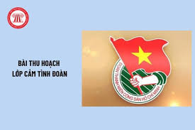 10+ Bài thu hoạch lớp cảm tình đoàn hay nhất? Bài thu hoạch cảm tình