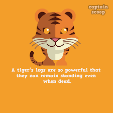 There are 26 animal readers. 15 Amazing Facts You Didn T Know About Animals Bored Panda