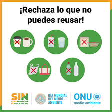 El día mundial del medio ambiente 2021 se centra en la restauración de ecosistemas, ya que son el sustento de la vida en el planeta. Tecno Cerro Dia Mundial Del Medio Ambiente