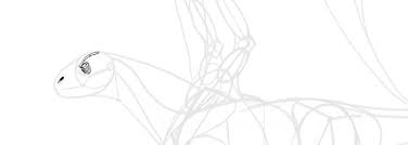I was working so hard today on a really rockin tutorial on something that i. How To Draw A Dragon Step By Step