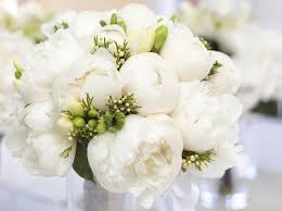 Rose bianche e una scritta buongiorno. Fiori Bianchi Per Occasioni Speciali Blog Floraqueen It