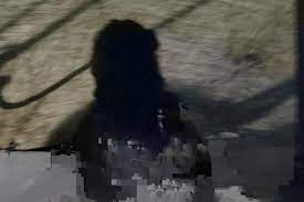 Bermula pada beberapa anggaran penyelesaian yang optimum. English To Malay Meaning Of Row English Malay Net