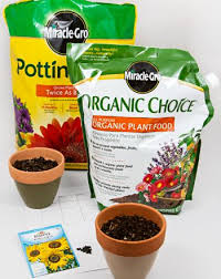Do Plants Grow Best In Chemical Fertilizer Organic Fertilizer Or No Fertilizer Science Project Education Com Plant Science Fair Projects Science Fair Science Fair Projects