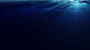 If traveling by boat tends to make you a little queasy, then plan ahead and be ready with the proper medication. Ocean Underwater Ocean Deep Blue Sea Novocom Top