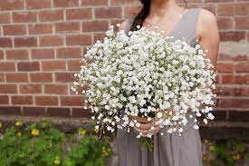 Maybe you would like to learn more about one of these? New York Wedding Wedding Bouquets New York Wedding Wedding