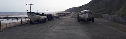 Sea of flowers cromer : Cromer Shoal Chalk Beds Ocean Emergency Marine Conservation Society